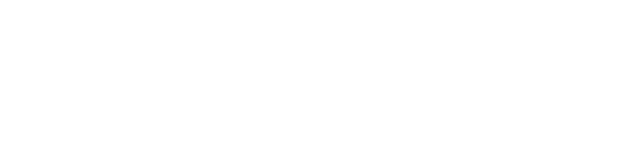 RS_logotyp_neg_rgb SNSA logotype